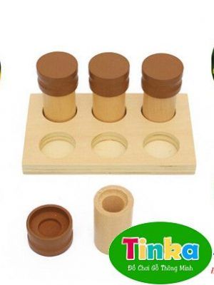 Bộ cảm quan khứu giác