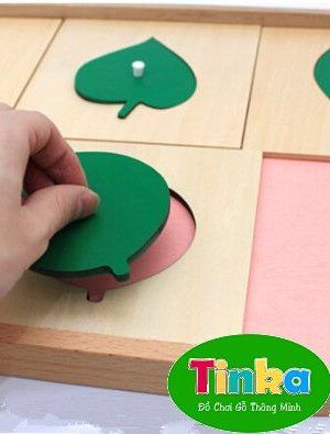 Khay các loại lá,con vật