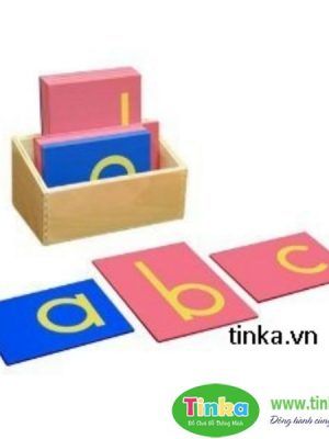 Bô chữ nhám thường