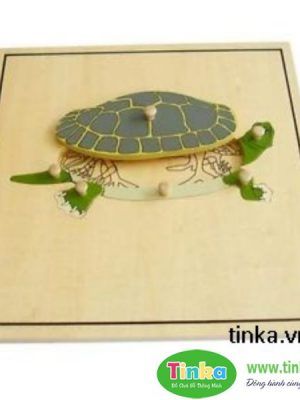 Ghép hình con rùa