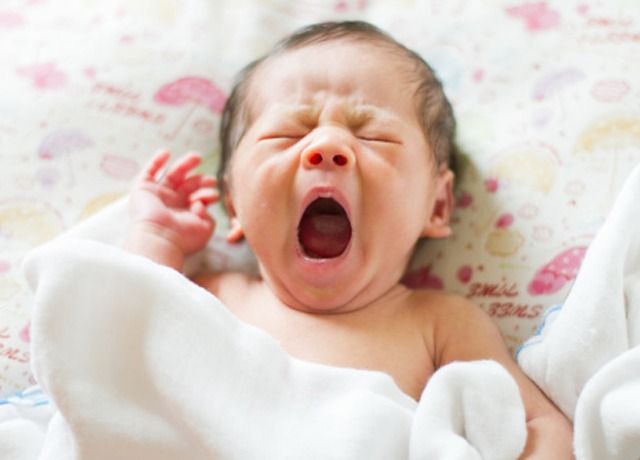 lam-sao-de-ne-ngu-ngon-1