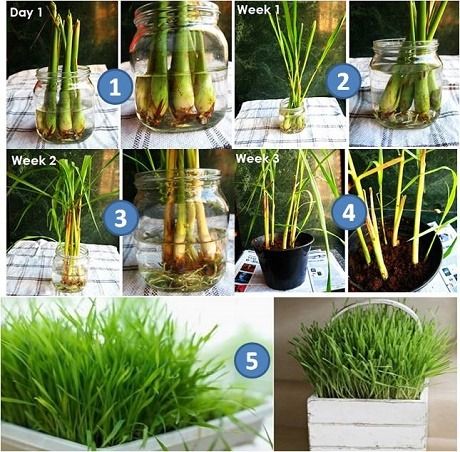 cach-duoi-muoi-cho-be-4