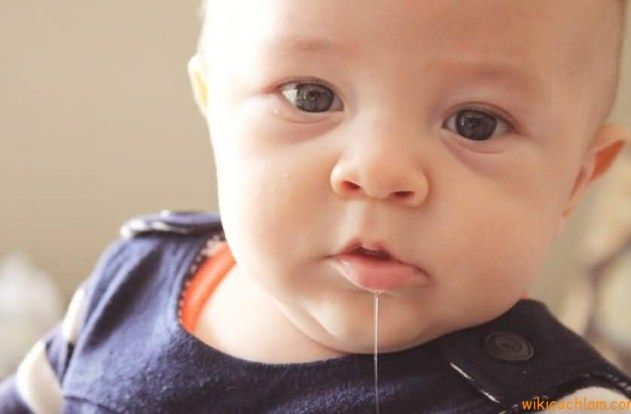 trinh-tu-moc-rang-cua-tre2