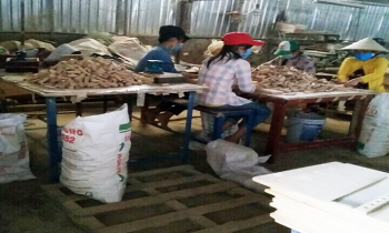 tinka đồ chơi thông minh bằng gỗ